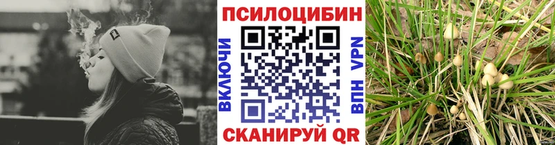 kraken ссылки  Свирск  Псилоцибиновые грибы Psilocybine cubensis 